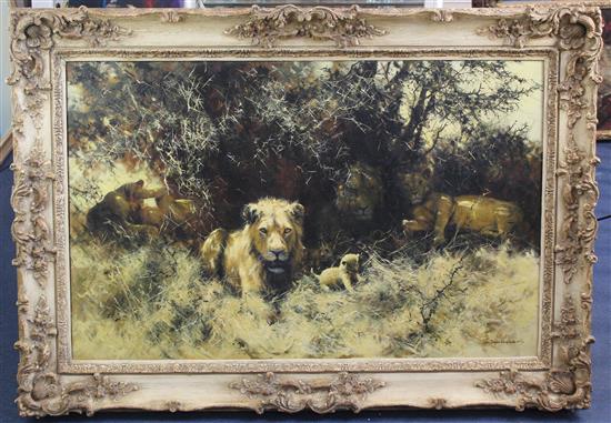 § David Shepherd (1931-) Lions, 28 x 44in.